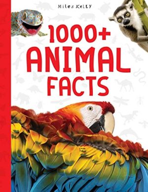 1000+ Animal Facts (Miles Kelly)