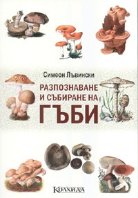 Разпознаване и събиране на гъби