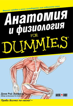 Анатомия и физиология For Dummies