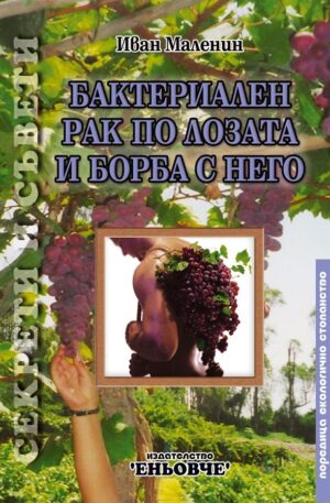 Бактериален рак по лозата и борба с него