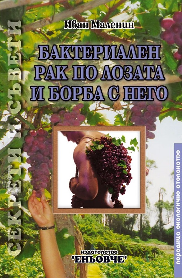 Бактериален рак по лозата и борба с него