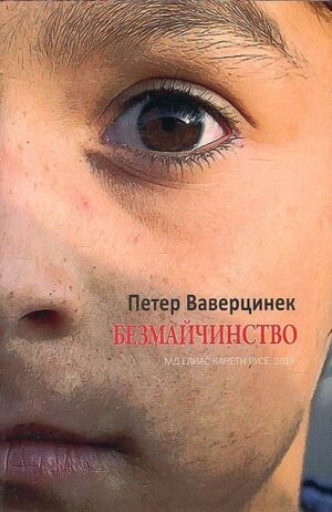 Безмайчинство