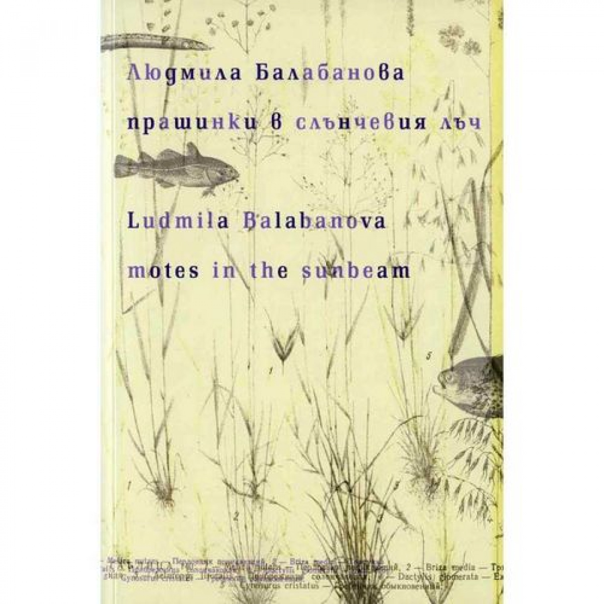 Прашинки в слънчевия лъч/Motes in the Sunbeam