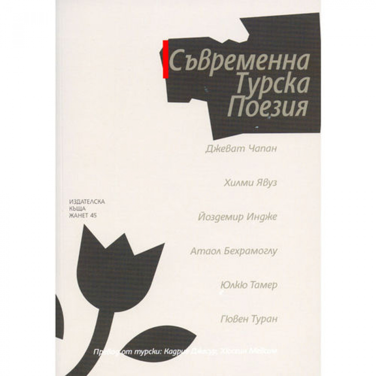 Съвременна турска поезия