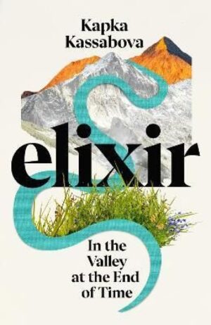 Elixir. In the Valley at the End of Time <span class='title_cover_class'>(Твърди корици)</span>