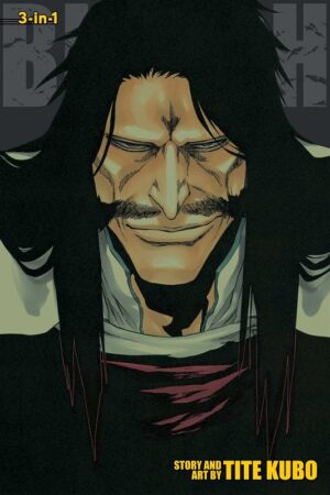 Bleach 3-IN-1, Vol. 19