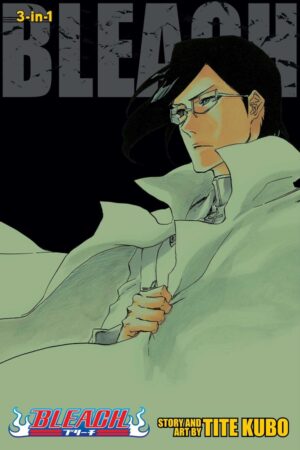 Bleach 3-IN-1, Vol. 24