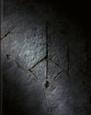 Bloodborne: Complete Guide (25th Anniversary Edition)