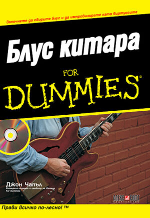 Блус Китара For Dummies