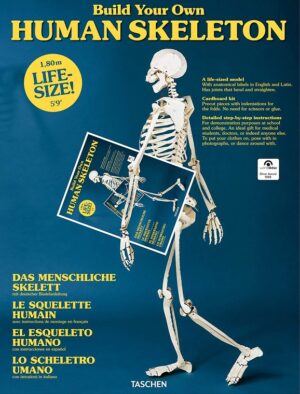 Build Your Own Human Skeleton - Life Size!