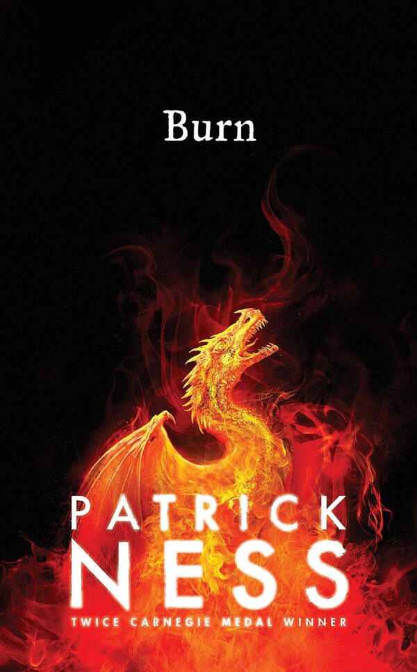 Burn (Hardcover)