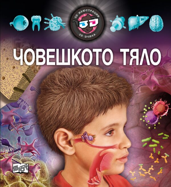 Човешкото тяло (3D илюстрации + 3D очила)