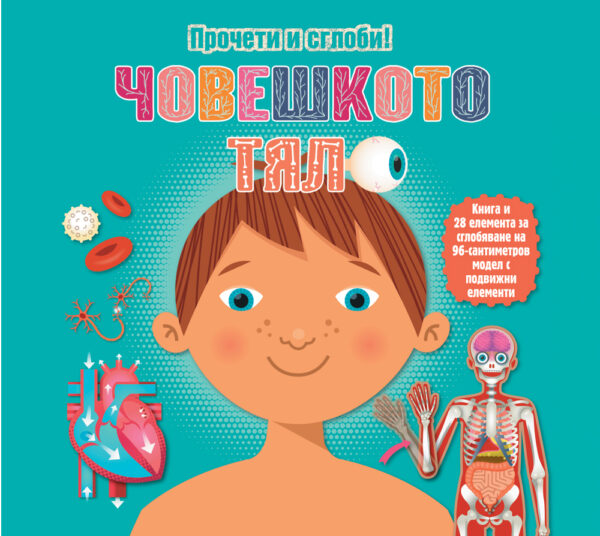 Прочети и сглоби!: Човешкото тяло (Обемен пъзел)