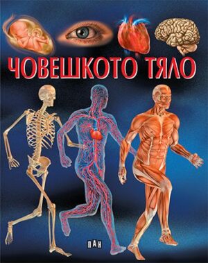 Човешкото тяло (Енциклопедия)