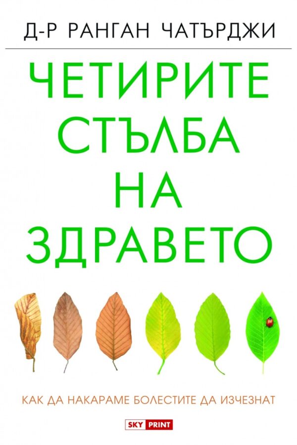 Четирите стълба на здравето