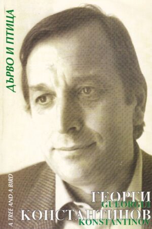 Дърво и птица