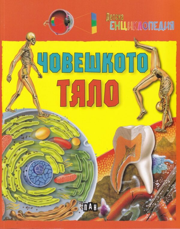 Детска енциклопедия: Човешкото тяло