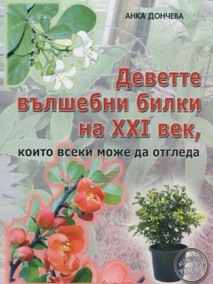 Деветте вълшебни билки на XXI век, които всеки може да отгледа