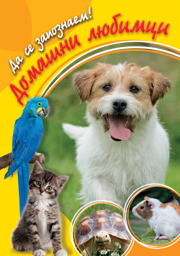 Домашни любимци (Да се запознаем!)