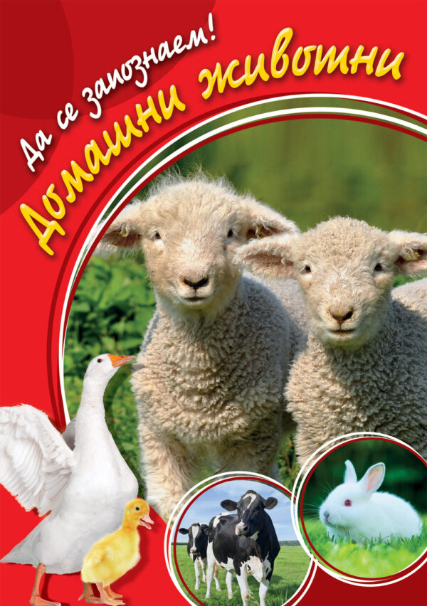 Домашни животни (Да се запознаем!)