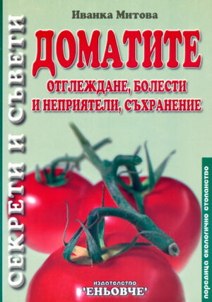 Доматите: отглеждане, болести и неприятели, съхранение