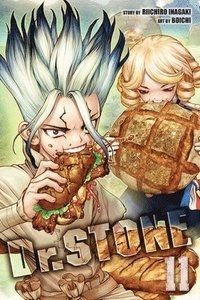 Dr. STONE, Vol. 11: First Contact