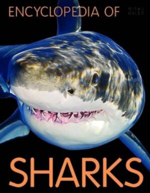 Encyclopedia of Sharks (Miles Kelly)