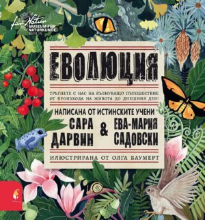 Еволюция (Прозорец)