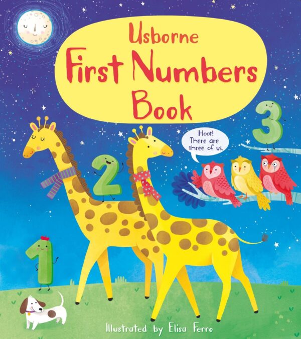 First Numbers Book