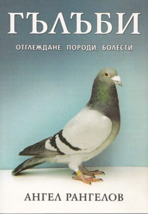 Гълъби - Отглеждане, породи, болести