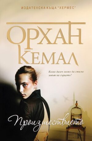 Произшествието (Господарката на чифлика 1)