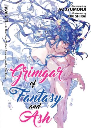 Grimgar of Fantasy and Ash, Vol. 11 (Light Novel)