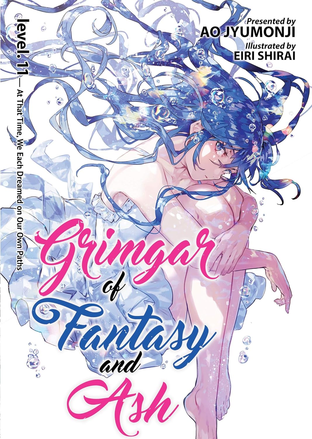 Grimgar of Fantasy and Ash, Vol. 11 (Light Novel)