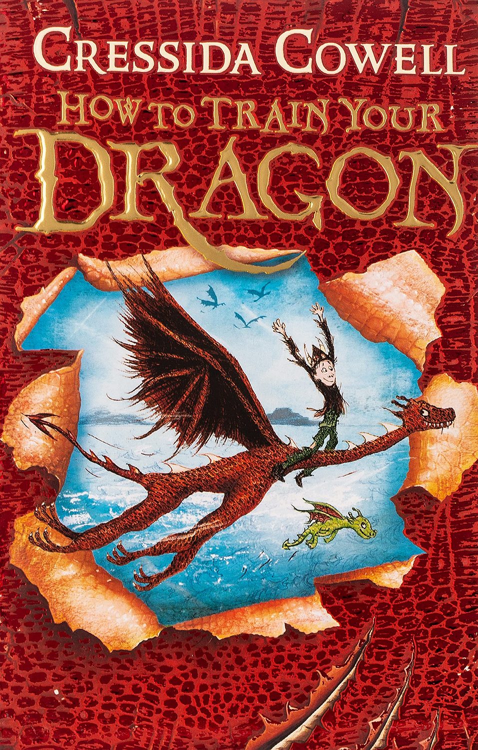 How To Train Your Dragon: 1: How To Train Your Dragon