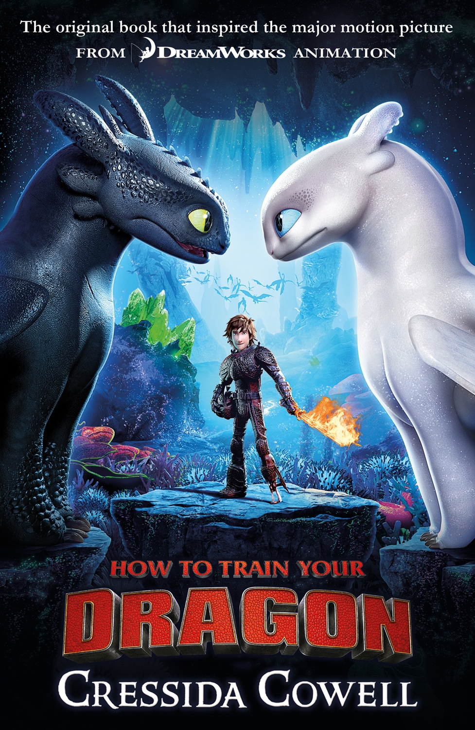 How to Train Your Dragon: How to Train Your Dragon, Book 1 (Film Cover)