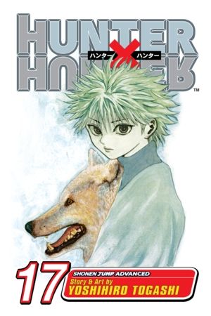 Hunter x Hunter, Vol. 17: Three-Way Struggle