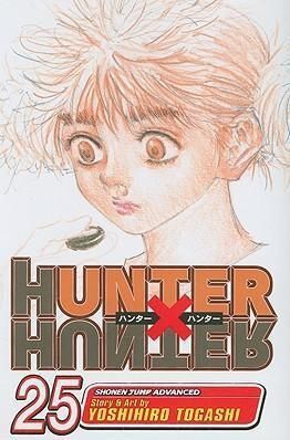 Hunter x Hunter, Vol. 25: Charge