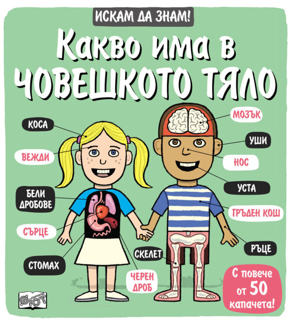 Искам да знам!: Какво има в човешкото тяло