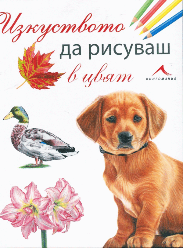 Изкуството да рисуваш в цвят