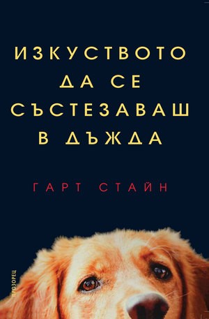 Изкуството да се състезаваш в дъжда
