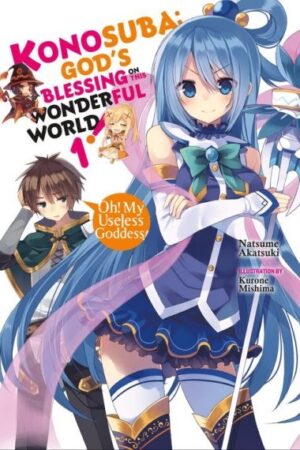KonoSuba: God's Blessing on This Wonderful World, Vol. 1 (Light Novel)