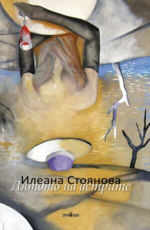 Лятото на астрите