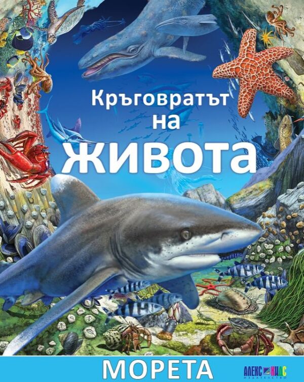 Кръговратът на живота: Морета