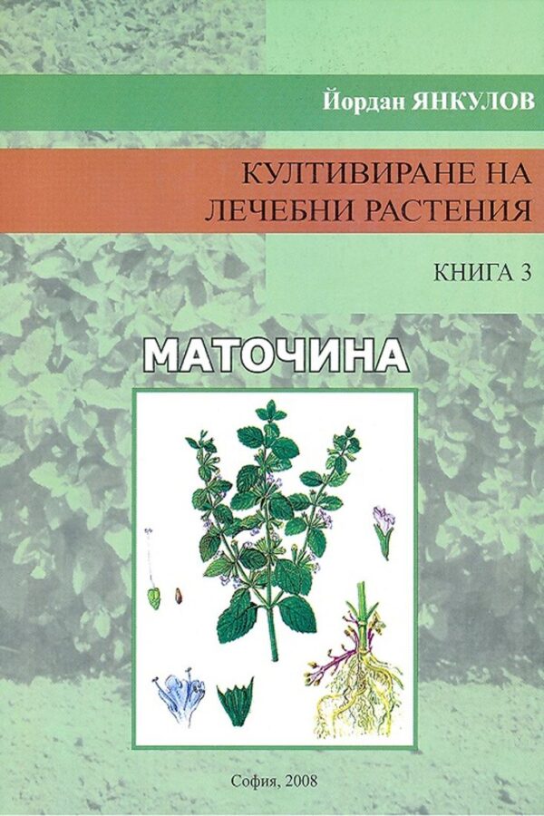 Култивиране на лечебни растения - книга 3: Маточина