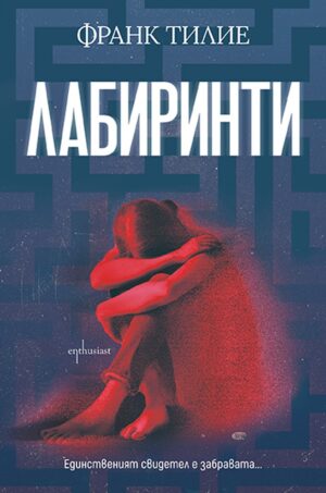 Лабиринти (Ентусиаст)