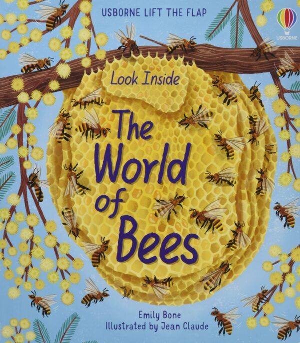 Look Inside the World of Bees