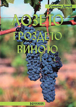 Лозето. Гроздето. Виното