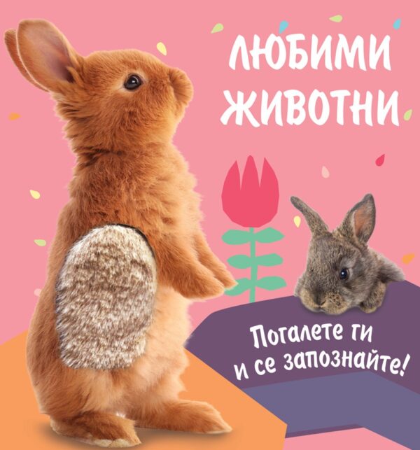 Любими животни: Погалете ги и се запознайте! Зайче