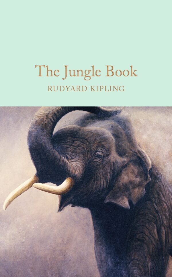 Macmillan Collector's Library: The Jungle Book
