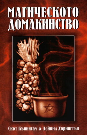 Магическото домакинство